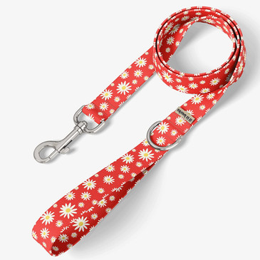 Delightful Daisies Dog Leash Delightful Daisies Dog Leash